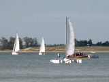 TRICAT 22 :